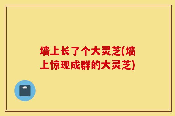 墙上长了个大灵芝(墙上惊现成群的大灵芝)