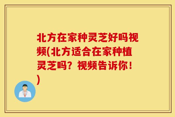 北方在家种灵芝好吗视频(北方适合在家种植灵芝吗？视频告诉你！)