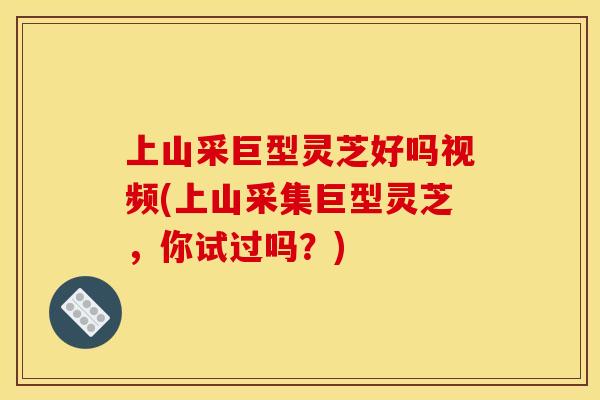 上山采巨型灵芝好吗视频(上山采集巨型灵芝，你试过吗？)