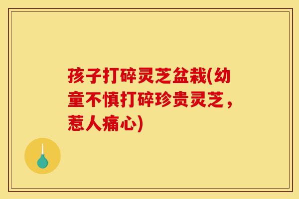 孩子打碎灵芝盆栽(幼童不慎打碎珍贵灵芝，惹人痛心)