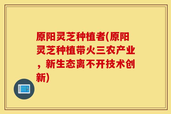 原阳灵芝种植者(原阳灵芝种植带火三农产业，新生态离不开技术创新)