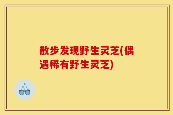 散步发现野生灵芝(偶遇稀有野生灵芝)