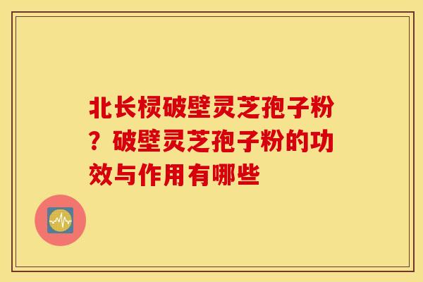 北长棂破壁灵芝孢子粉？破壁灵芝孢子粉的功效与作用有哪些