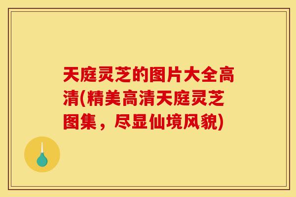 天庭灵芝的图片大全高清(精美高清天庭灵芝图集，尽显仙境风貌)