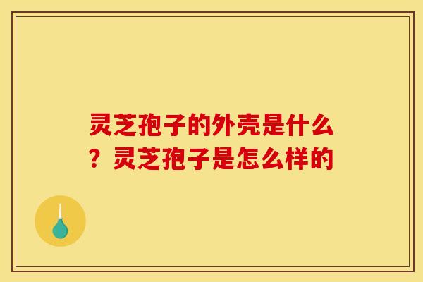 灵芝孢子的外壳是什么？灵芝孢子是怎么样的