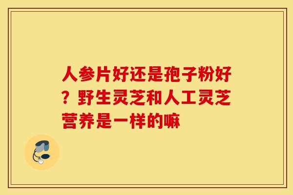 人参片好还是孢子粉好？野生灵芝和人工灵芝营养是一样的嘛