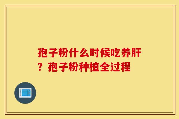 孢子粉什么时候吃养肝？孢子粉种植全过程