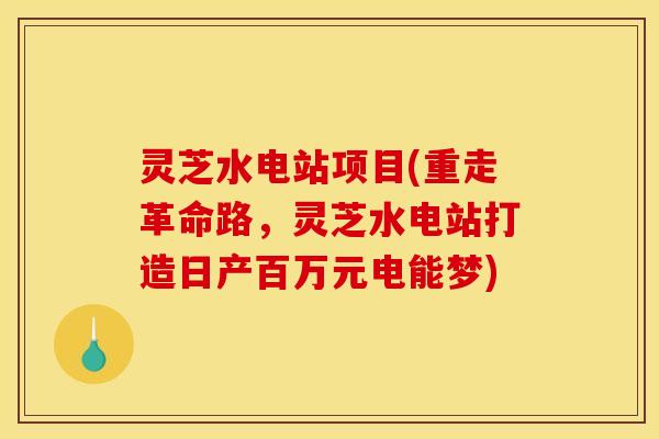 灵芝水电站项目(重走革命路，灵芝水电站打造日产百万元电能梦)