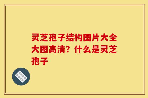 灵芝孢子结构图片大全大图高清？什么是灵芝孢子