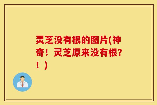 灵芝没有根的图片(神奇！灵芝原来没有根？！)