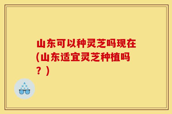 山东可以种灵芝吗现在(山东适宜灵芝种植吗？)