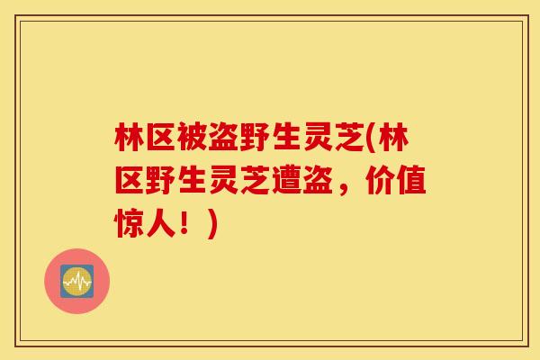 林区被盗野生灵芝(林区野生灵芝遭盗，价值惊人！)