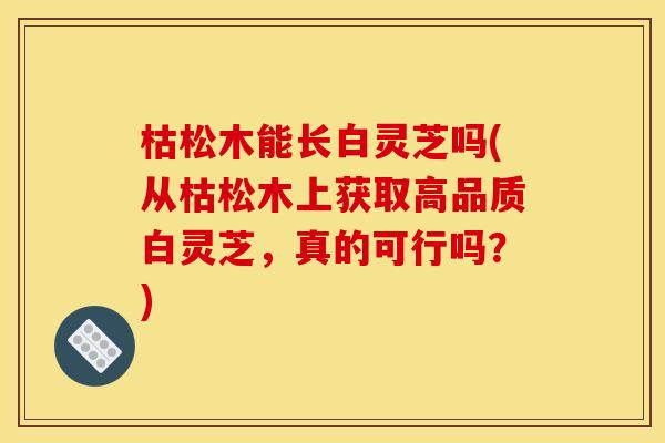 枯松木能长白灵芝吗(从枯松木上获取高品质白灵芝，真的可行吗？)