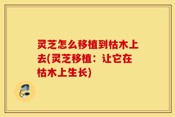 灵芝怎么移植到枯木上去(灵芝移植：让它在枯木上生长)