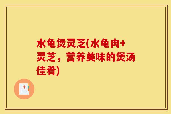水龟煲灵芝(水龟肉+灵芝，营养美味的煲汤佳肴)