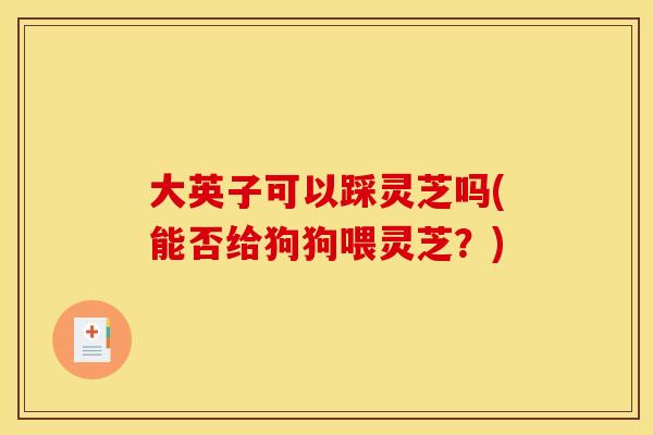 大英子可以踩灵芝吗(能否给狗狗喂灵芝？)