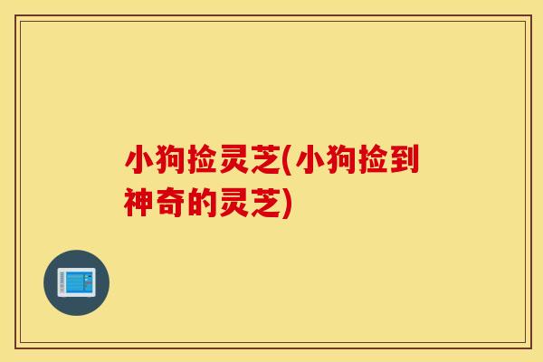 小狗捡灵芝(小狗捡到神奇的灵芝)