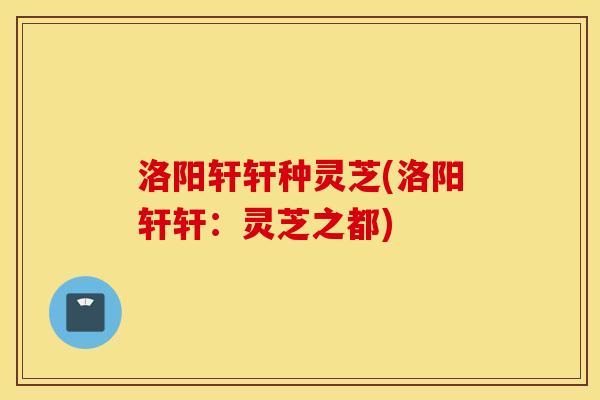 洛阳轩轩种灵芝(洛阳轩轩：灵芝之都)