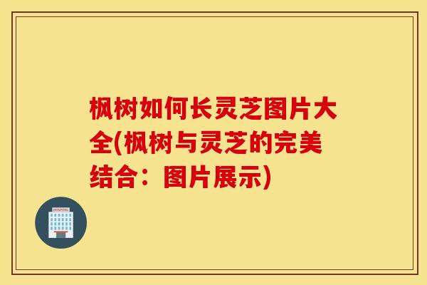 枫树如何长灵芝图片大全(枫树与灵芝的完美结合：图片展示)