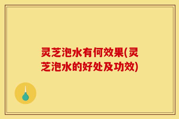 灵芝泡水有何效果(灵芝泡水的好处及功效)