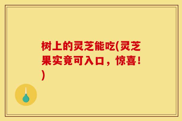 树上的灵芝能吃(灵芝果实竟可入口，惊喜！)