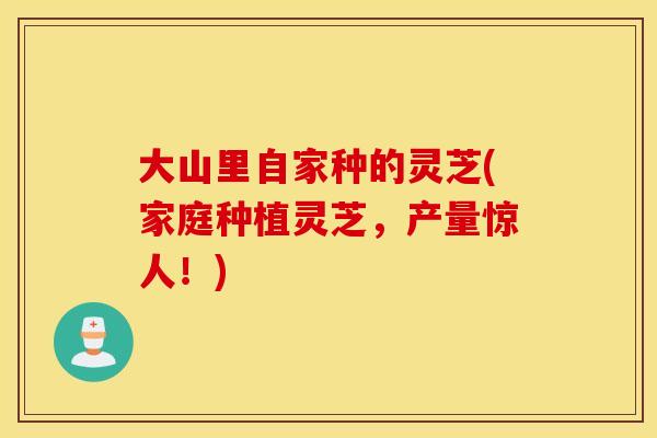 大山里自家种的灵芝(家庭种植灵芝，产量惊人！)