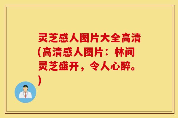 灵芝感人图片大全高清(高清感人图片：林间灵芝盛开，令人心醉。)