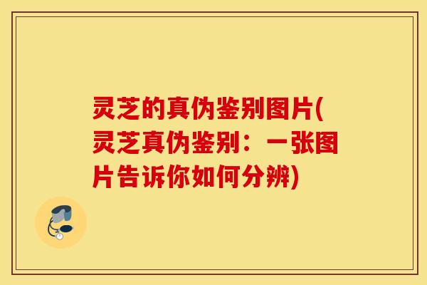 灵芝的真伪鉴别图片(灵芝真伪鉴别：一张图片告诉你如何分辨)