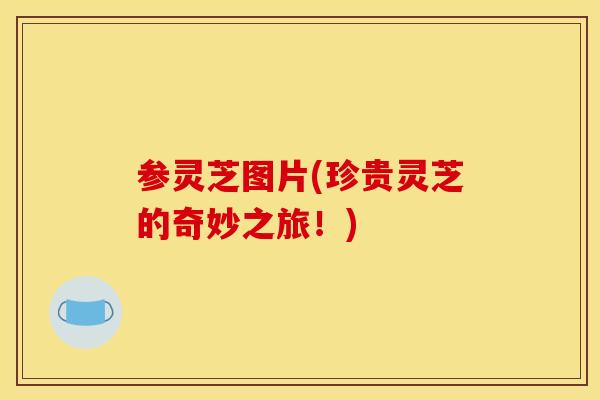 参灵芝图片(珍贵灵芝的奇妙之旅！)