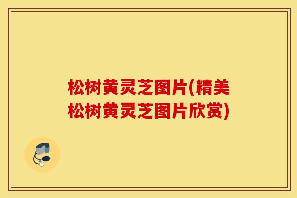 松树黄灵芝图片(精美松树黄灵芝图片欣赏)