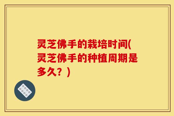 灵芝佛手的栽培时间(灵芝佛手的种植周期是多久？)