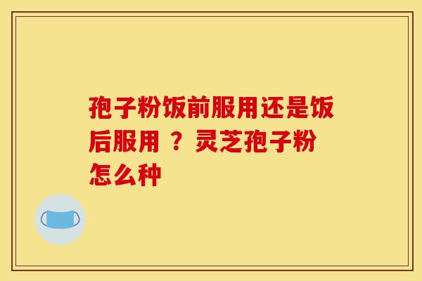 孢子粉饭前服用还是饭后服用 ？灵芝孢子粉怎么种