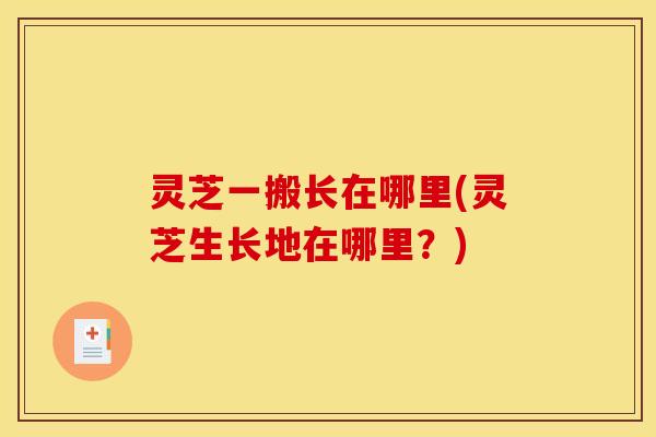 灵芝一搬长在哪里(灵芝生长地在哪里？)
