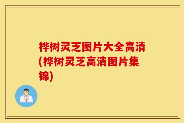 桦树灵芝图片大全高清(桦树灵芝高清图片集锦)