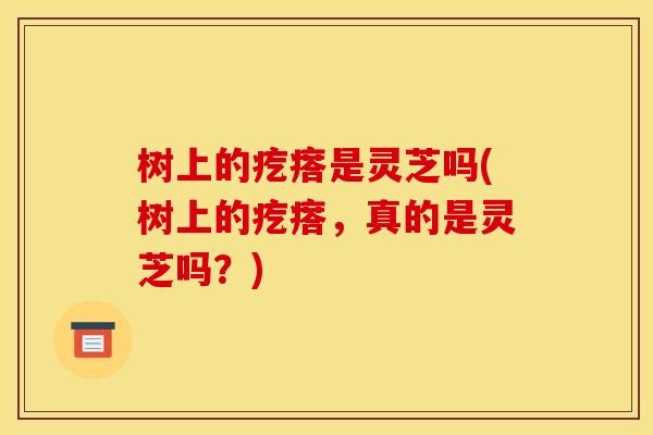 树上的疙瘩是灵芝吗(树上的疙瘩，真的是灵芝吗？)
