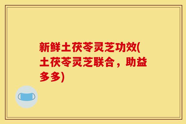 新鲜土茯苓灵芝功效(土茯苓灵芝联合，助益多多)