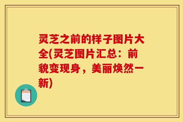 灵芝之前的样子图片大全(灵芝图片汇总：前貌变现身，美丽焕然一新)