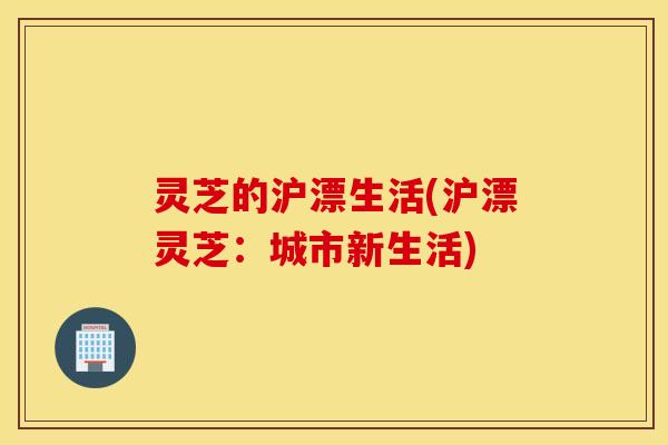 灵芝的沪漂生活(沪漂灵芝：城市新生活)