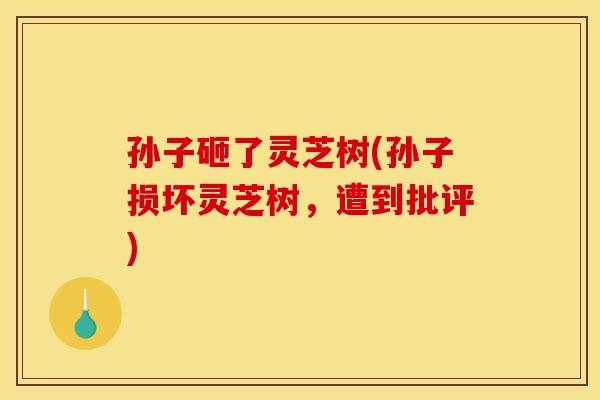 孙子砸了灵芝树(孙子损坏灵芝树，遭到批评)
