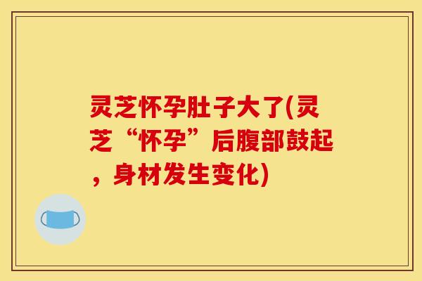 灵芝怀孕肚子大了(灵芝“怀孕”后腹部鼓起，身材发生变化)