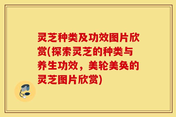 灵芝种类及功效图片欣赏(探索灵芝的种类与养生功效，美轮美奂的灵芝图片欣赏)