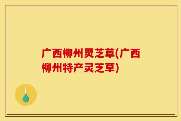 广西柳州灵芝草(广西柳州特产灵芝草)