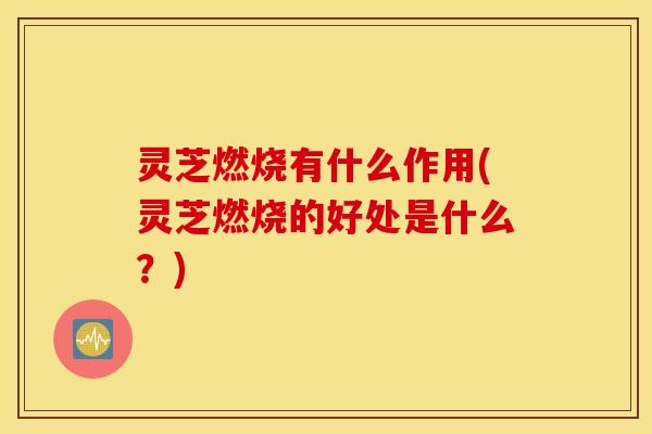 灵芝燃烧有什么作用(灵芝燃烧的好处是什么？)