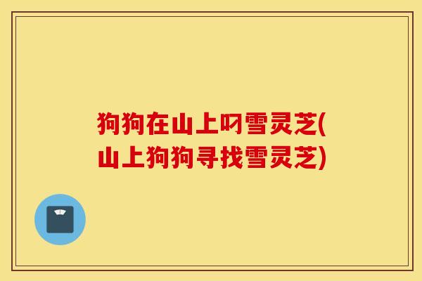 狗狗在山上叼雪灵芝(山上狗狗寻找雪灵芝)