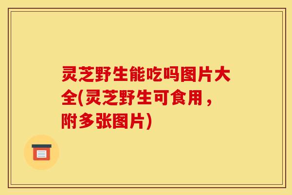 灵芝野生能吃吗图片大全(灵芝野生可食用，附多张图片)