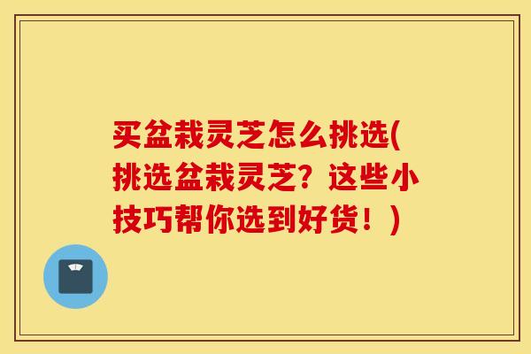 买盆栽灵芝怎么挑选(挑选盆栽灵芝？这些小技巧帮你选到好货！)