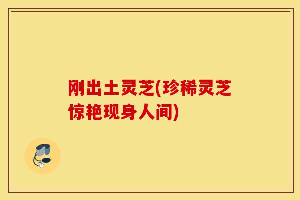 刚出土灵芝(珍稀灵芝惊艳现身人间)