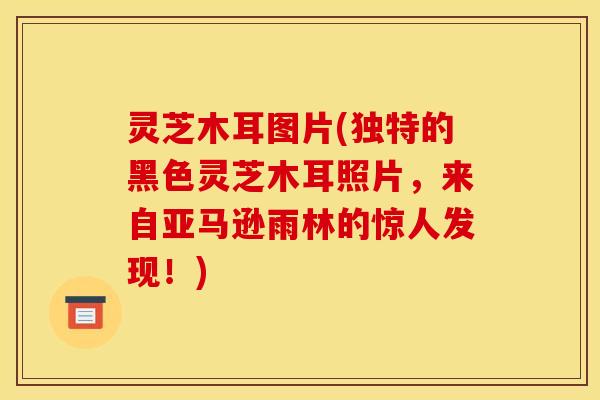 灵芝木耳图片(独特的黑色灵芝木耳照片，来自亚马逊雨林的惊人发现！)