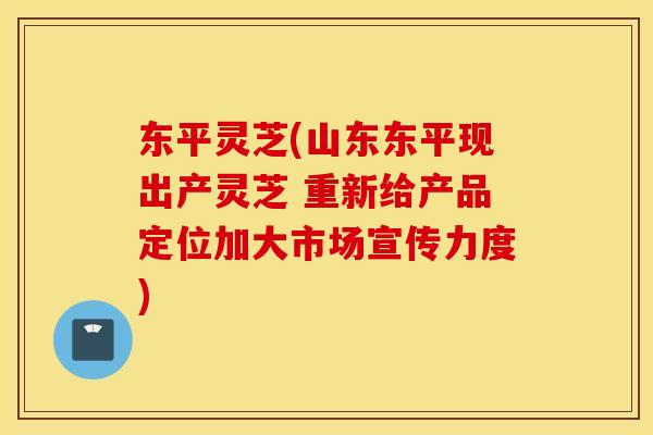 东平灵芝(山东东平现出产灵芝 重新给产品定位加大市场宣传力度)