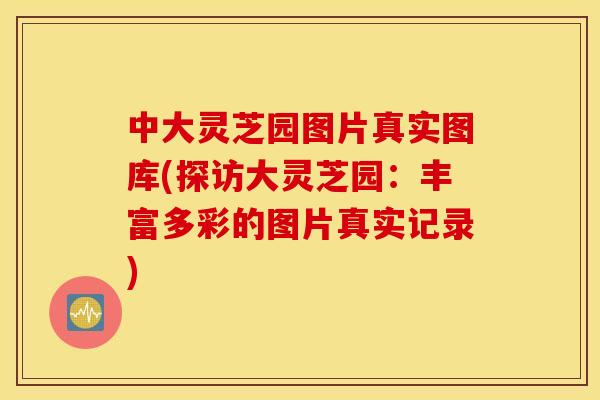 中大灵芝园图片真实图库(探访大灵芝园：丰富多彩的图片真实记录)